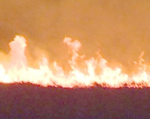 200 de hectare din aria protejată de la Vadu, mistuită de flăcări